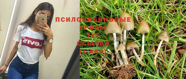 СК Беломорск