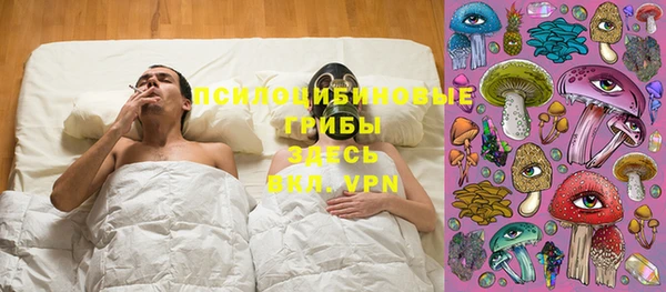 spice Белокуриха