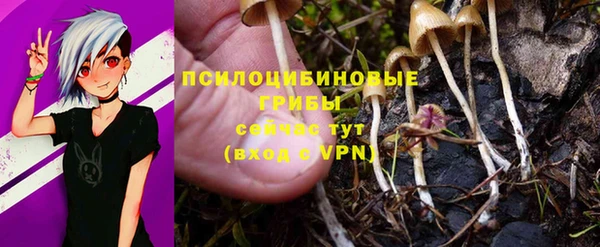 spice Белокуриха