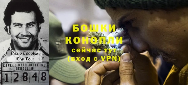 spice Белокуриха