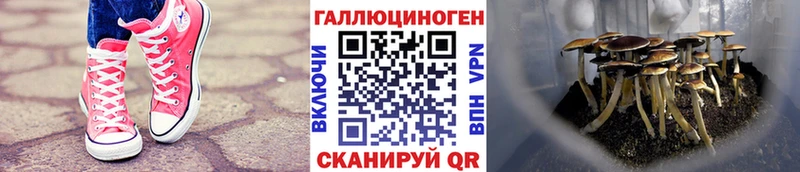 Галлюциногенные грибы мухоморы  закладка  Тында 